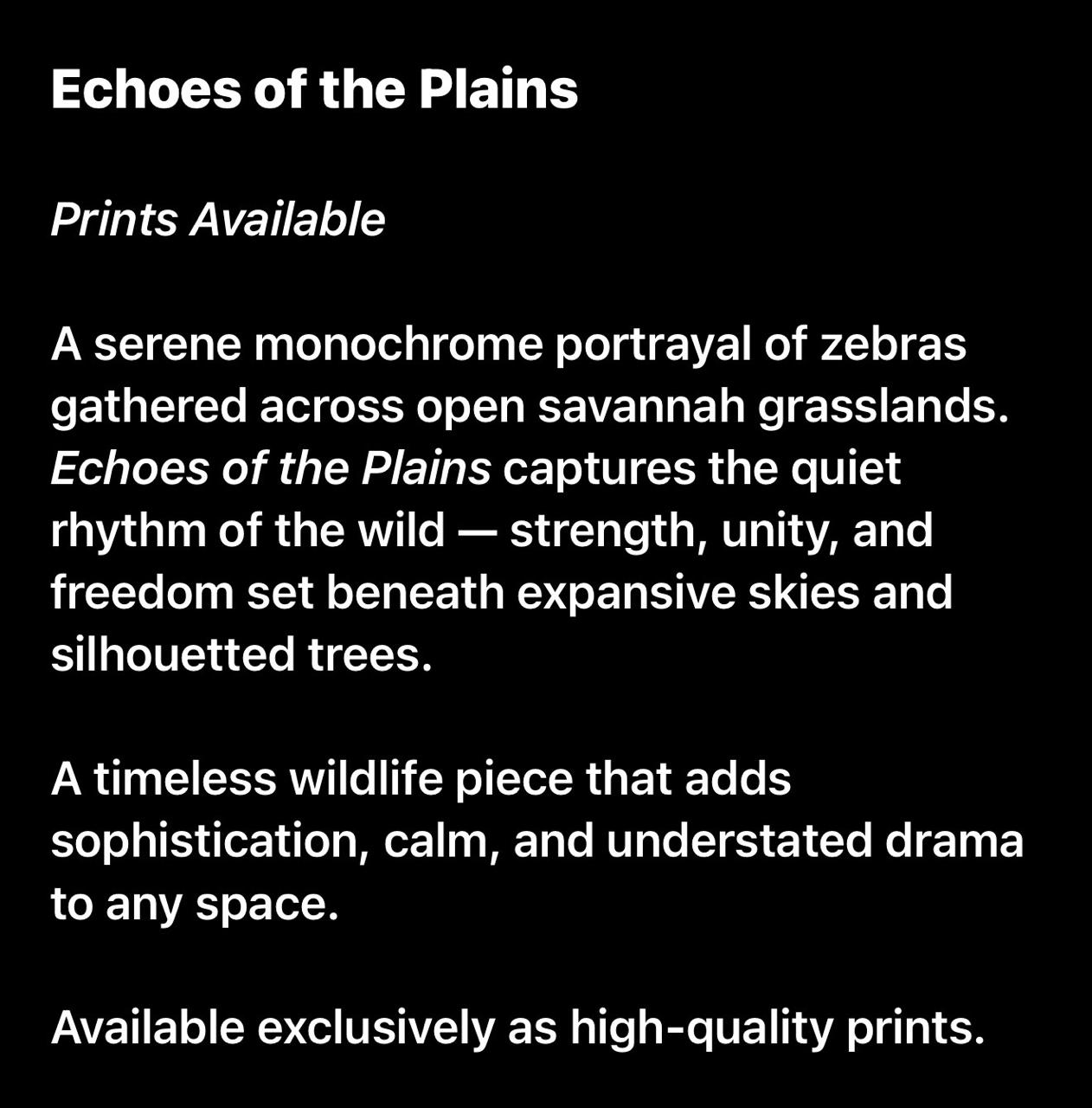 Echoes of the Plains - Image 3